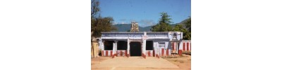 வாசுதேவநல்லூர்